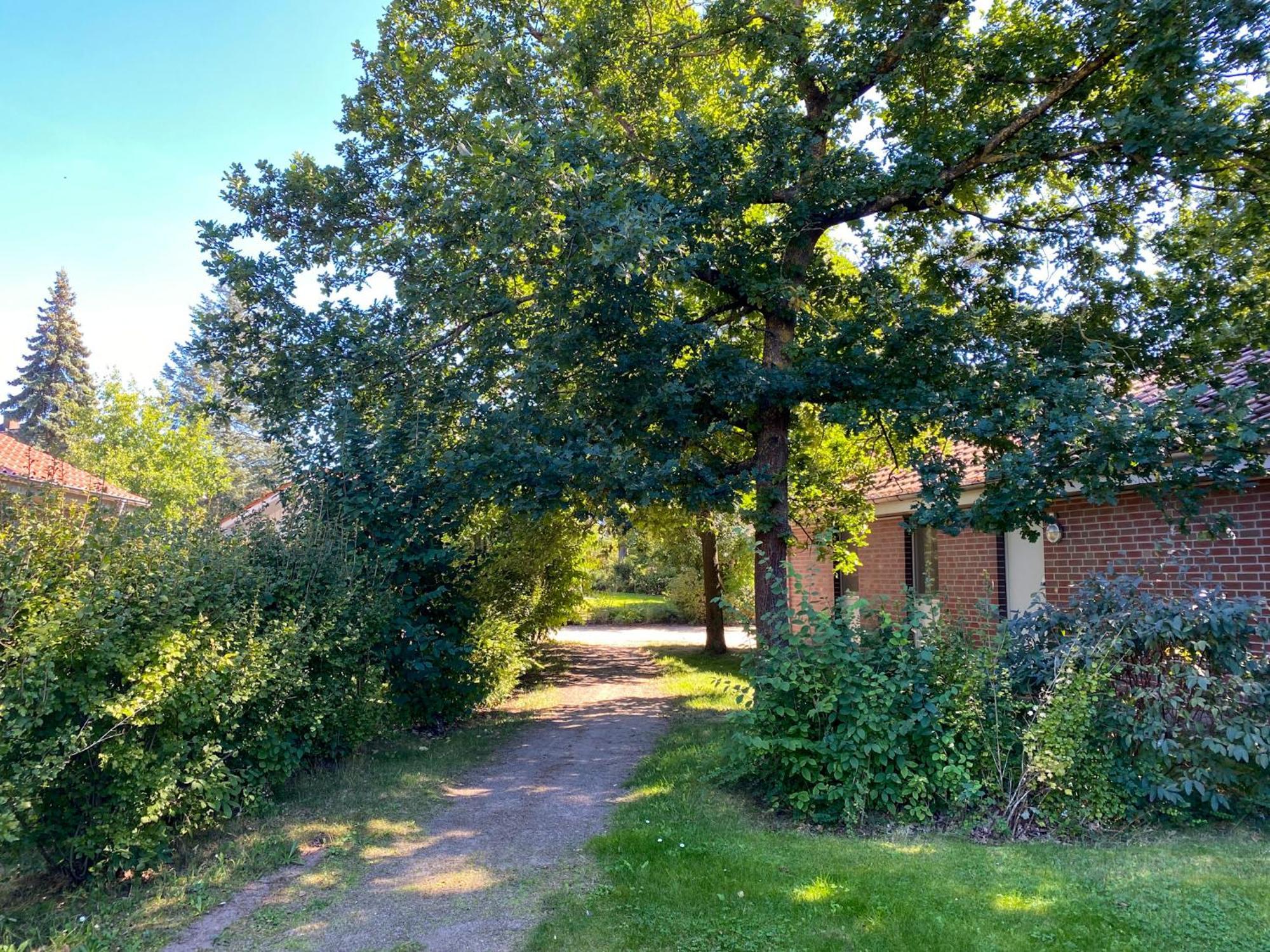 Ferienhaus Wiesengefluester W10 - Mit Sauna, Kamin Und Garten Röbel Zewnętrze zdjęcie